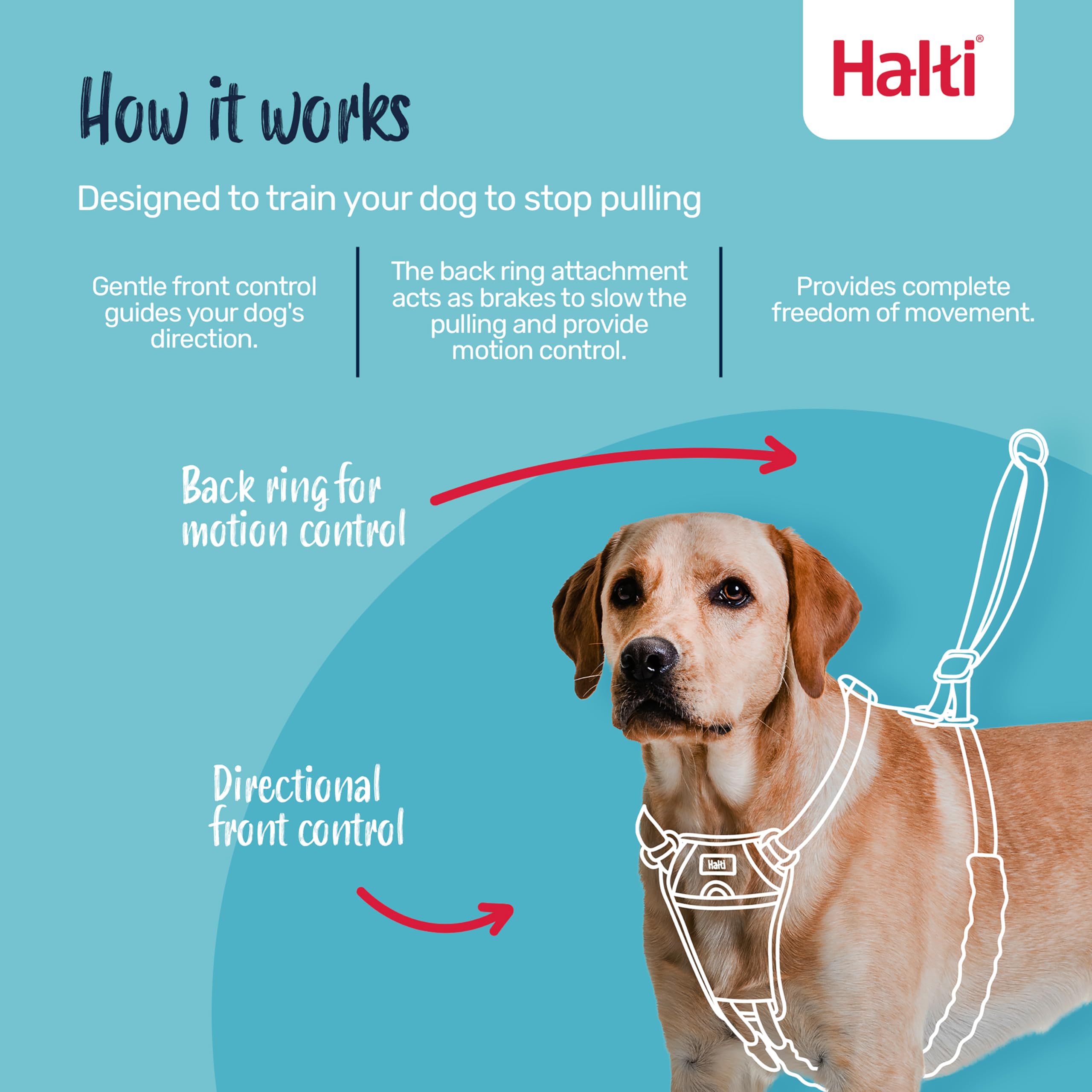 Halti No Pull Harness adjustable straps ensure a secure, comfortable fit on medium dogs