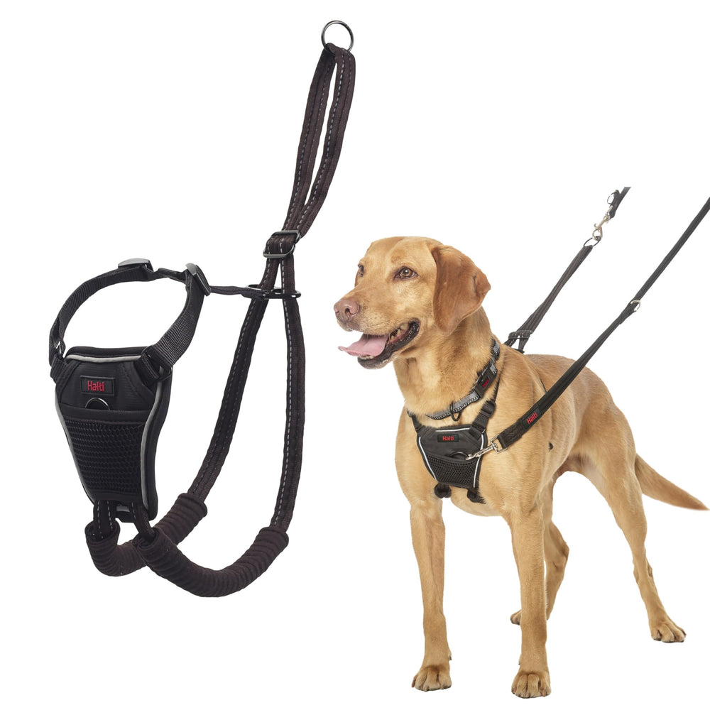 Halti No Pull Harness front view reduces pulling for calmer, more controlled walks