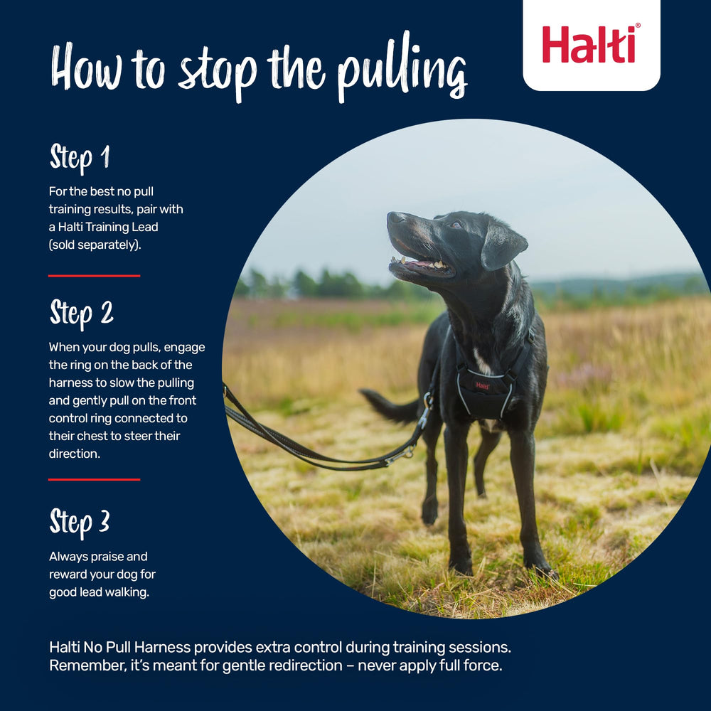 Halti No Pull Harness reflective panel boosts visibility