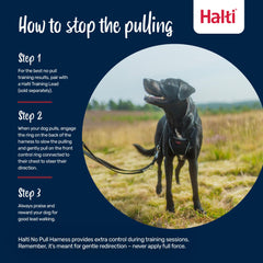 Halti No Pull Harness reflective panel boosts visibility