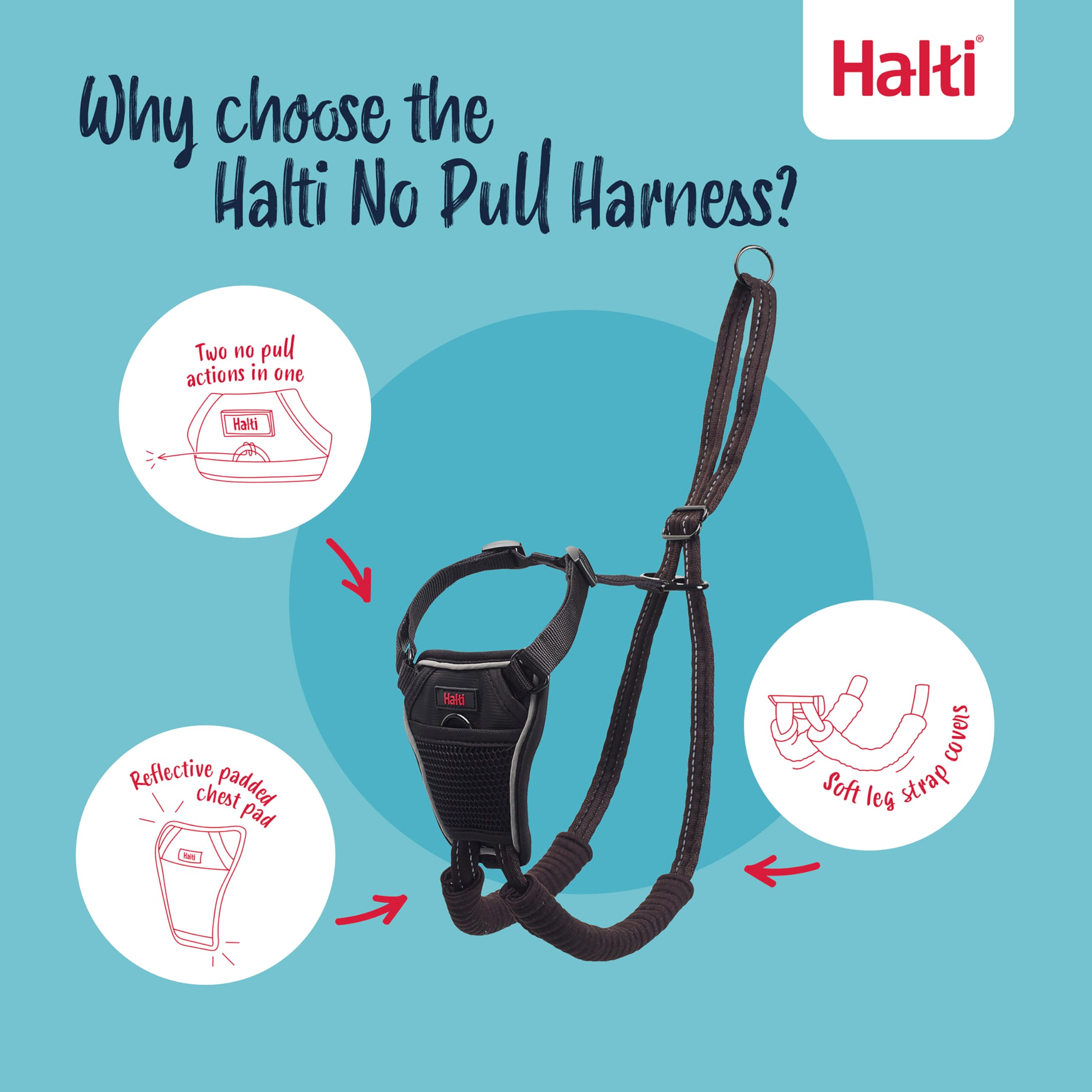 Halti No Pull Harness padded chest offers gentler contact during longer strolls