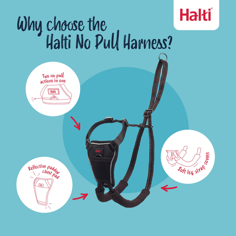 Halti No Pull Harness padded chest offers gentler contact during longer strolls
