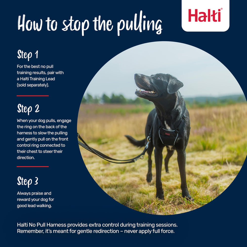 Halti No Pull Harness reflective panel boosts visibility for safe evening walks
