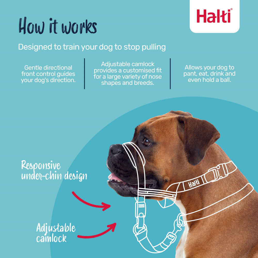 Halti OptiFit adjustable-noseband fit for secure comfort.