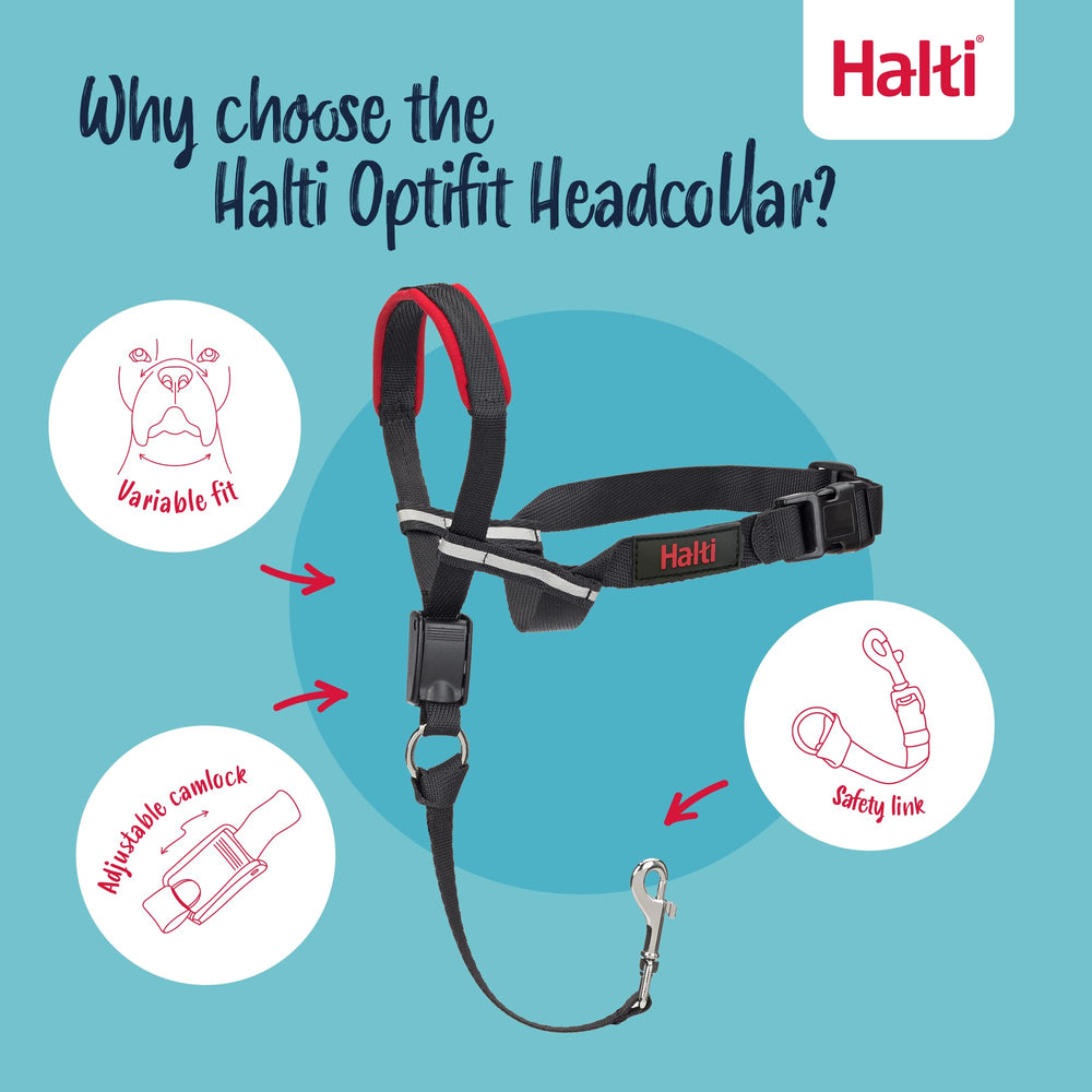 Halti OptiFit padded noseband adds comfort during long walks.