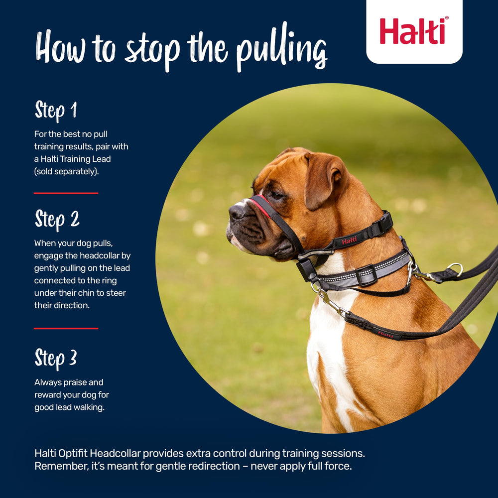 Halti OptiFit reflective straps improve visibility in low light.