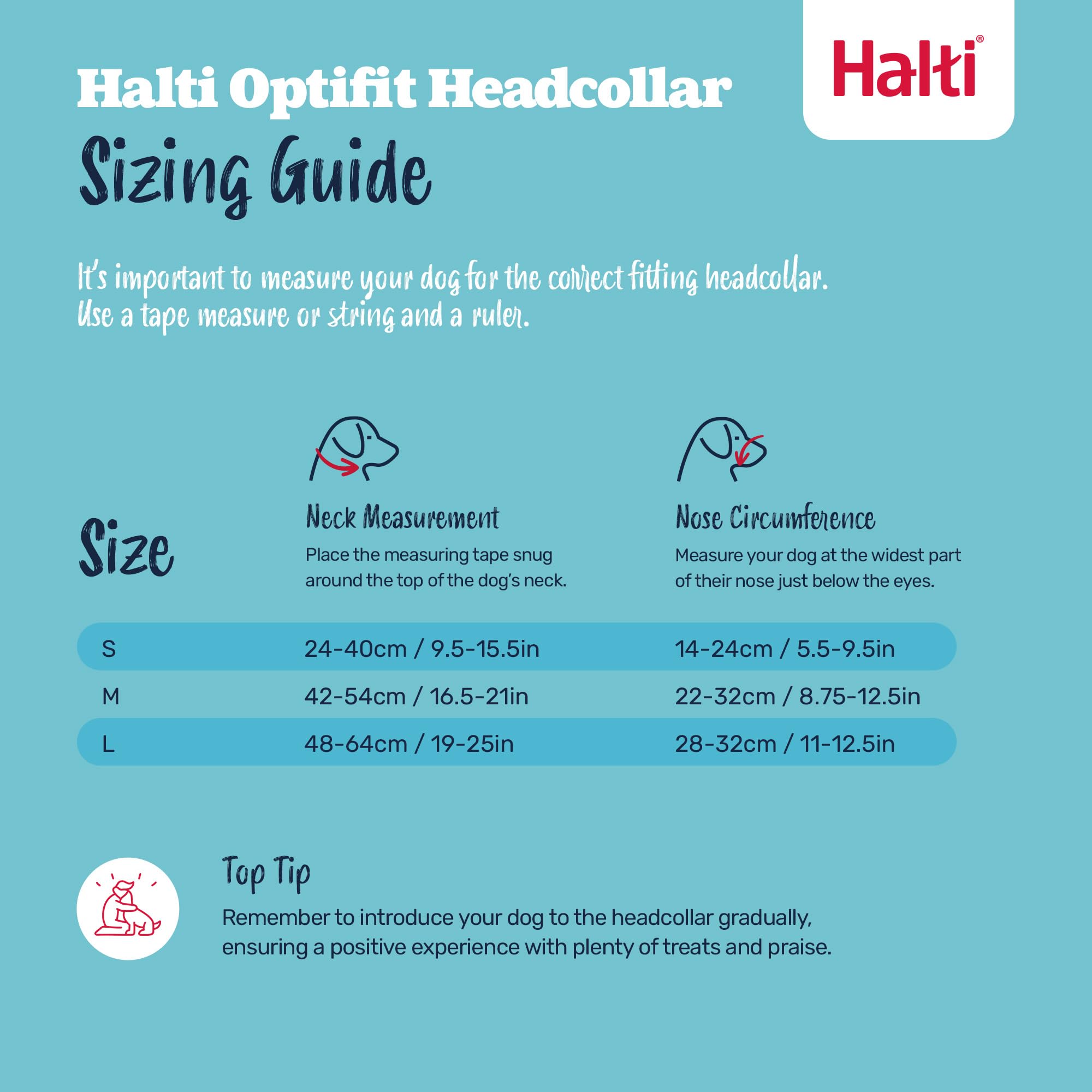 Halti OptiFit safety-link connects to your dog's collar for extra security.