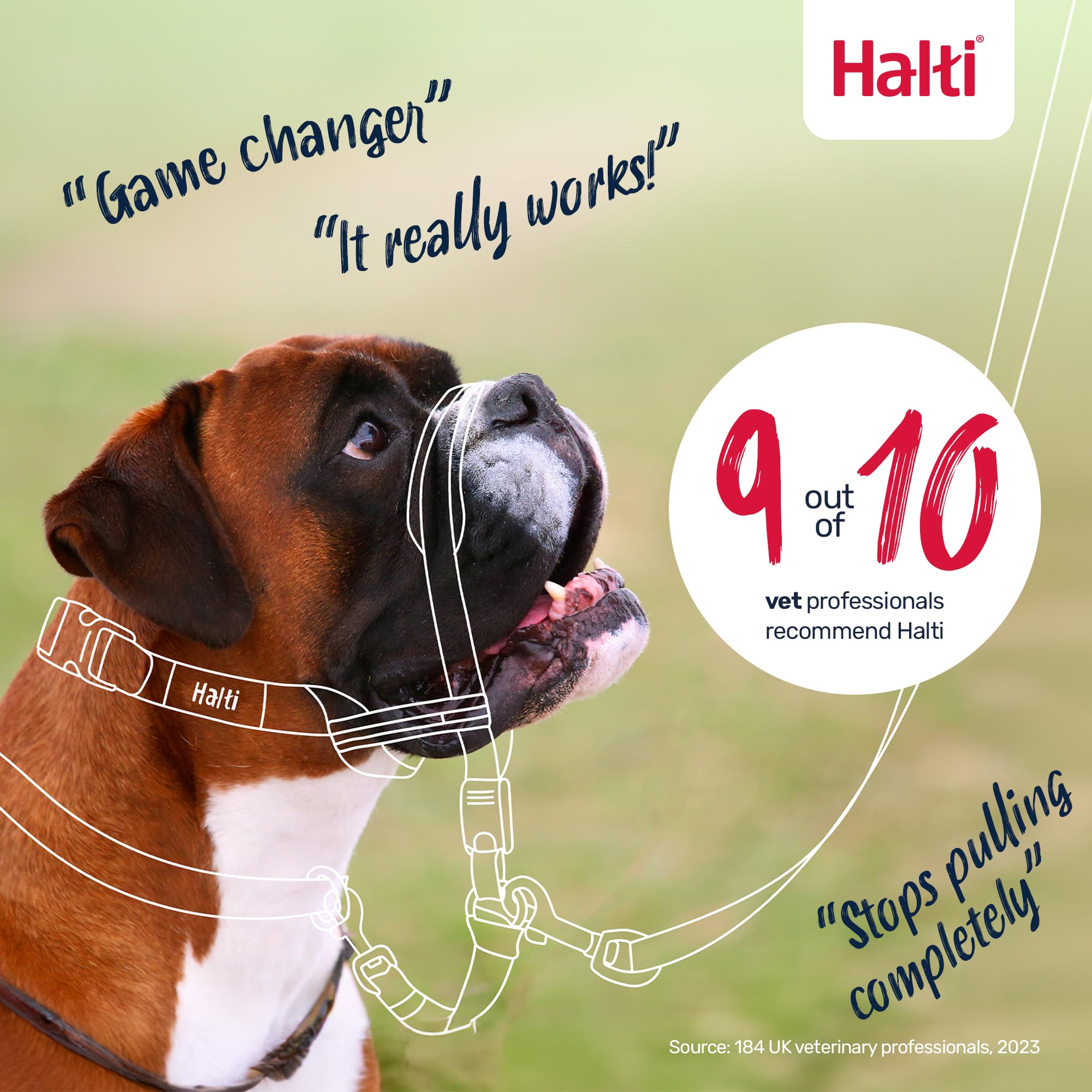 Halti OptiFit training leash combo demonstrates no-pull training setup.