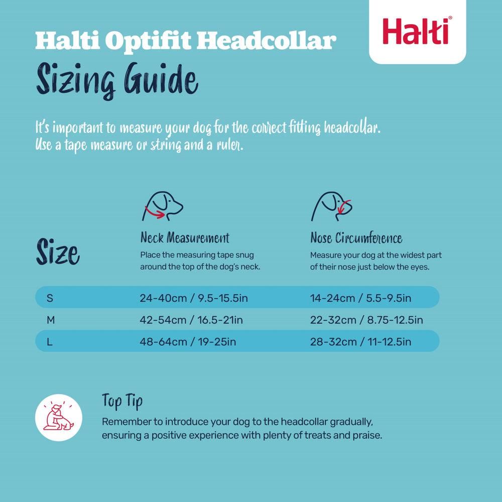 Halti OptiFit safety-link adds extra security to walks.
