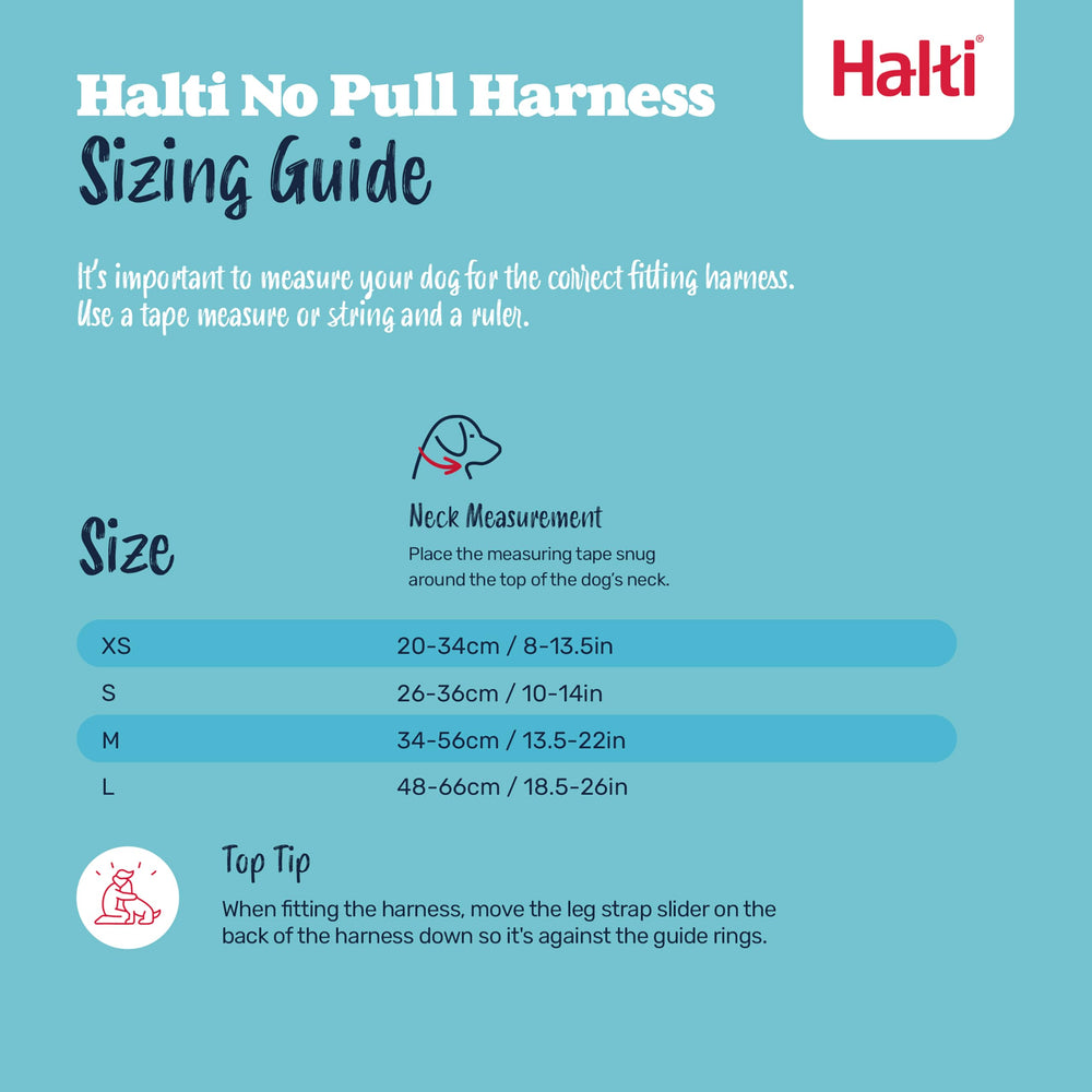 Halti Training Leash double clip works with the No Pull Harness for enhanced training