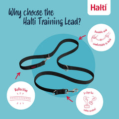 Halti Training Leash in hands-free mode for active outdoor runs