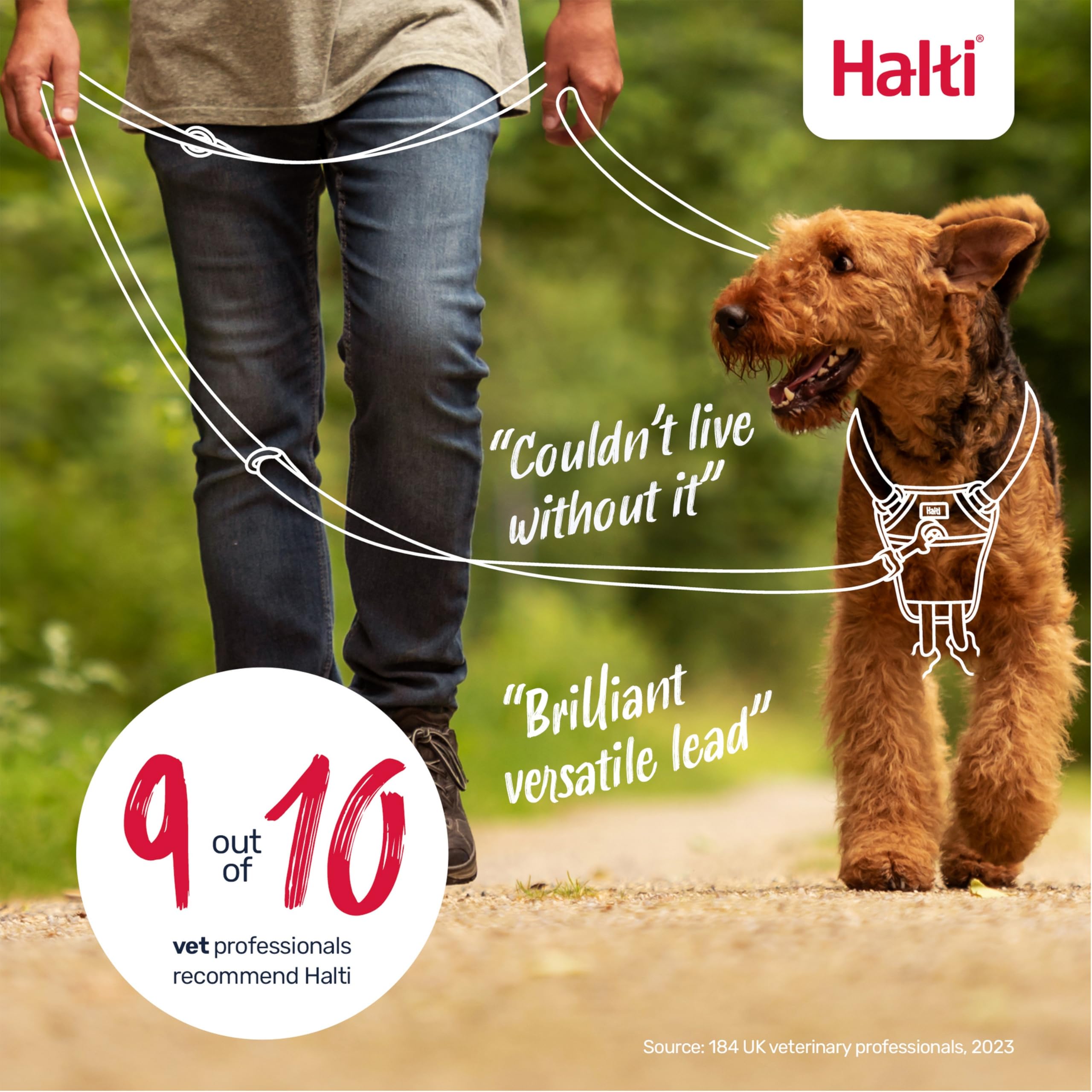 Halti Training Leash no-pull training setup when used with a Halti headcollar.