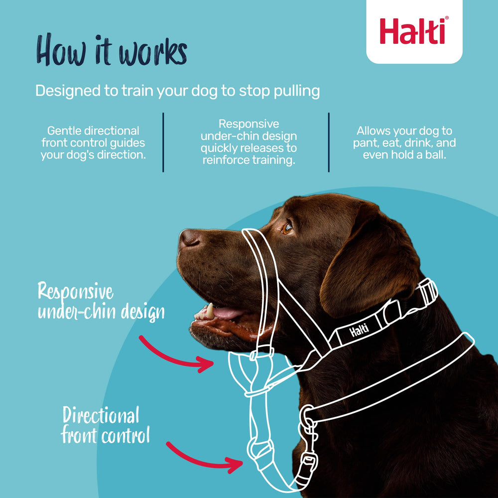 Halti Training Leash Large in black showing dual clips for versatile training.
