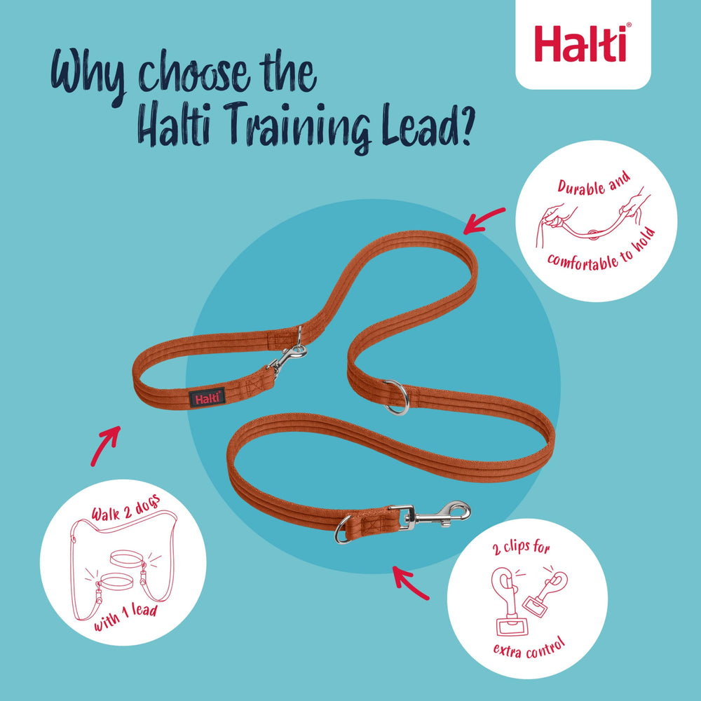 Halti Training Leash tether mode enables hands-free walking.