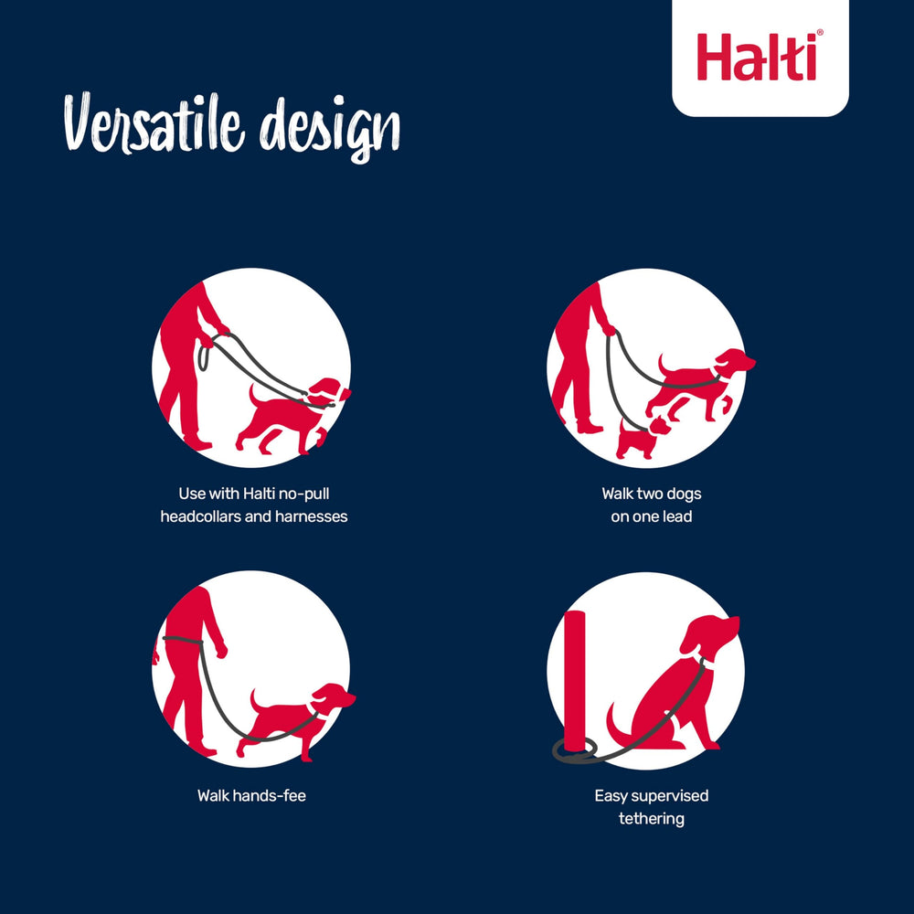 Halti Training Leash in tether mode for secure yard exercises
