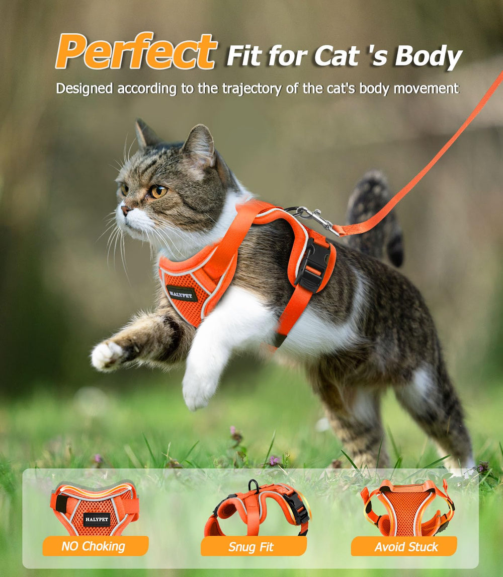 Halypet adjustable three-size harness ensures a snug fit for different cats.