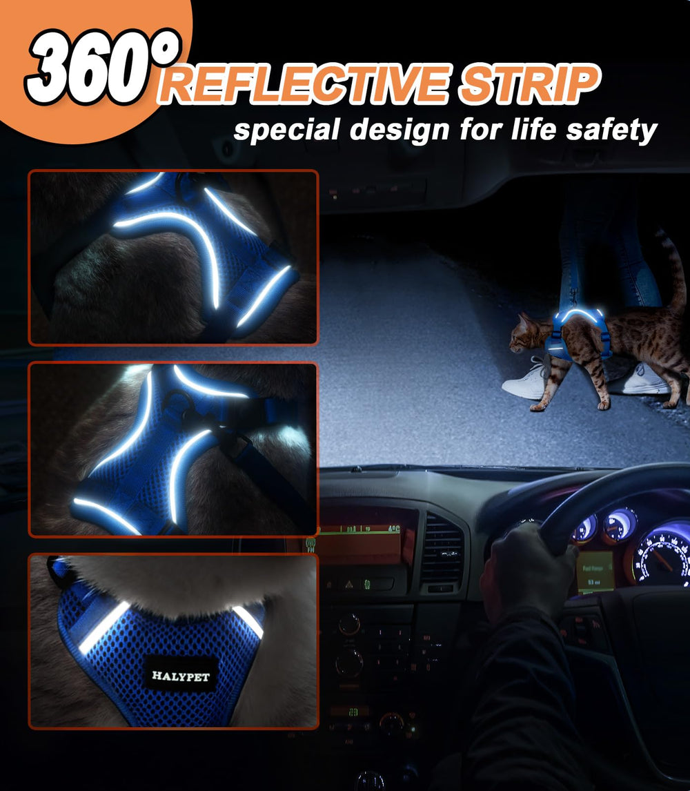 Halypet H200 Pro buckle-snap design makes wearing easier