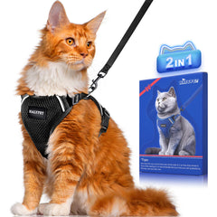 Halypet H200 Pro escape-proof design; secure outdoor walks for active cats.