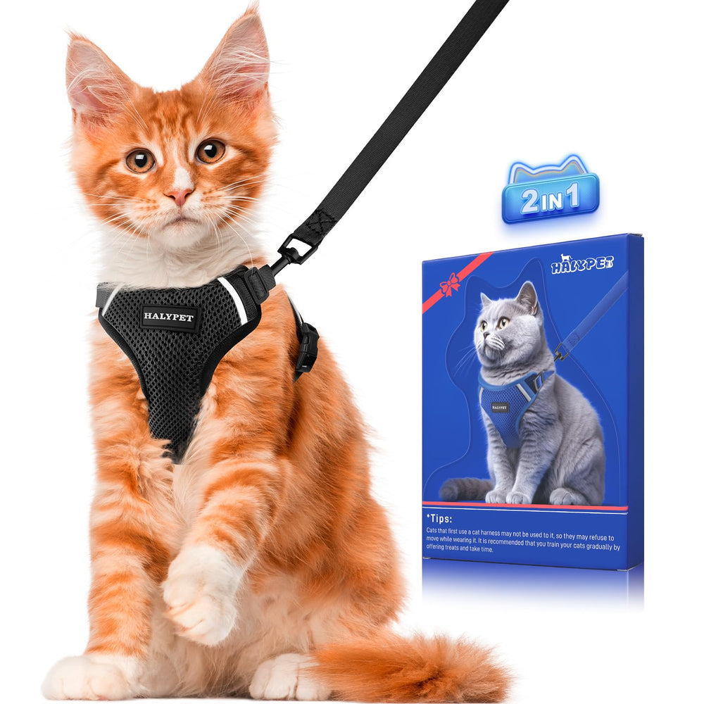 Halypet H200 Pro escape proof harness in action for safe outdoor walks