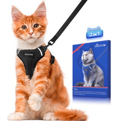 Halypet H200 Pro escape proof harness in action for safe outdoor walks