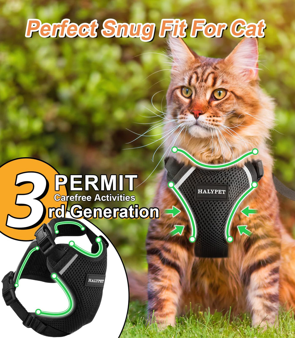 Halypet H200 Pro lightweight 50g; minimal bulk for comfortable wear.