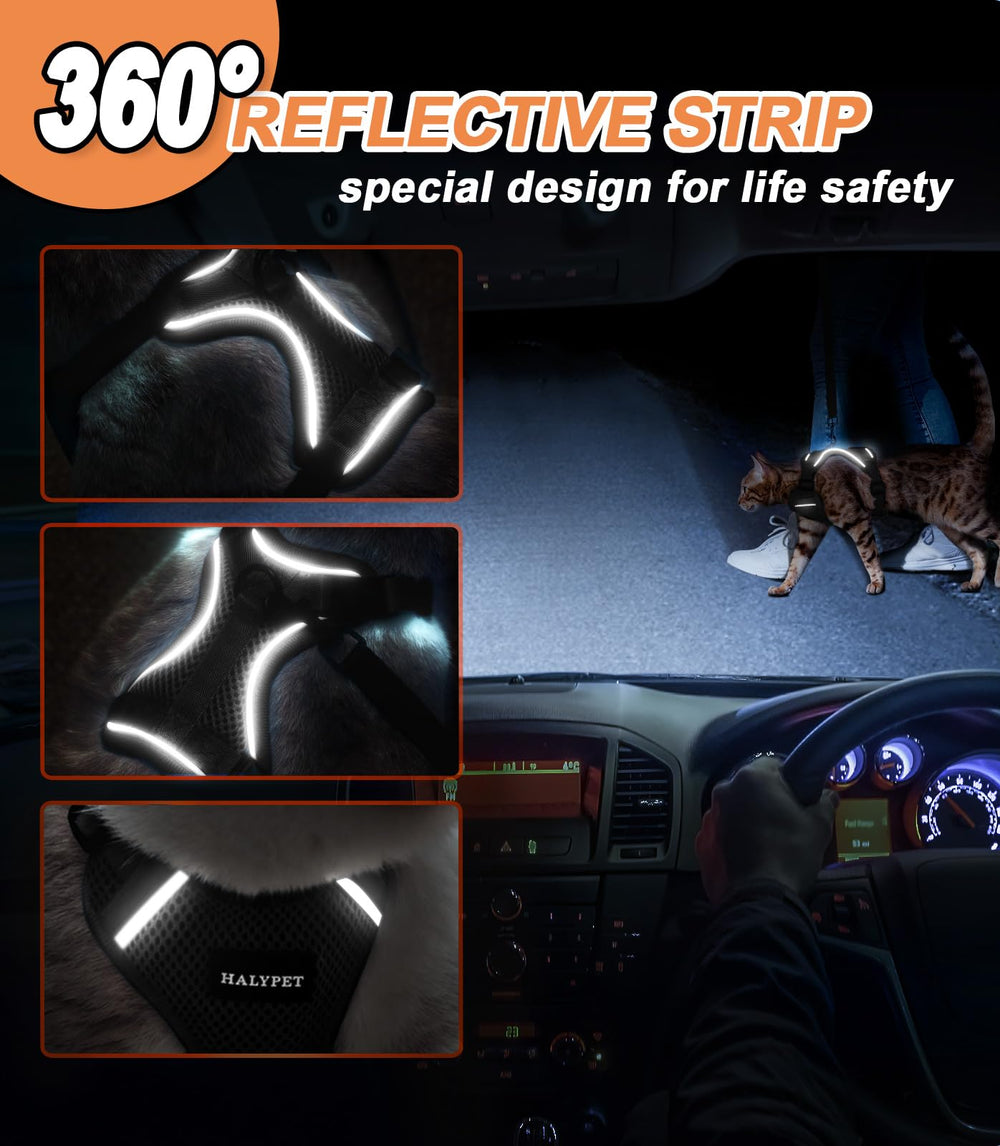 Halypet H200 Pro lightweight harness reduces cat fatigue on walks