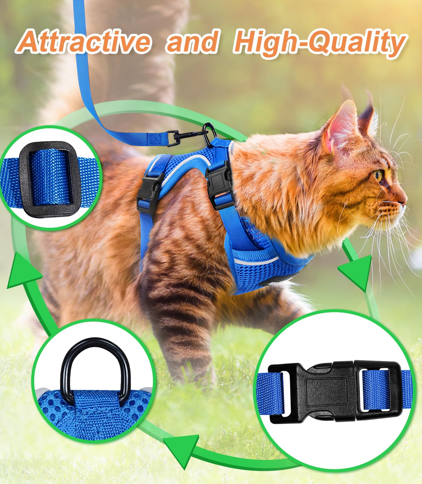 Halypet H200 Pro outdoor walk setup with harness and leash