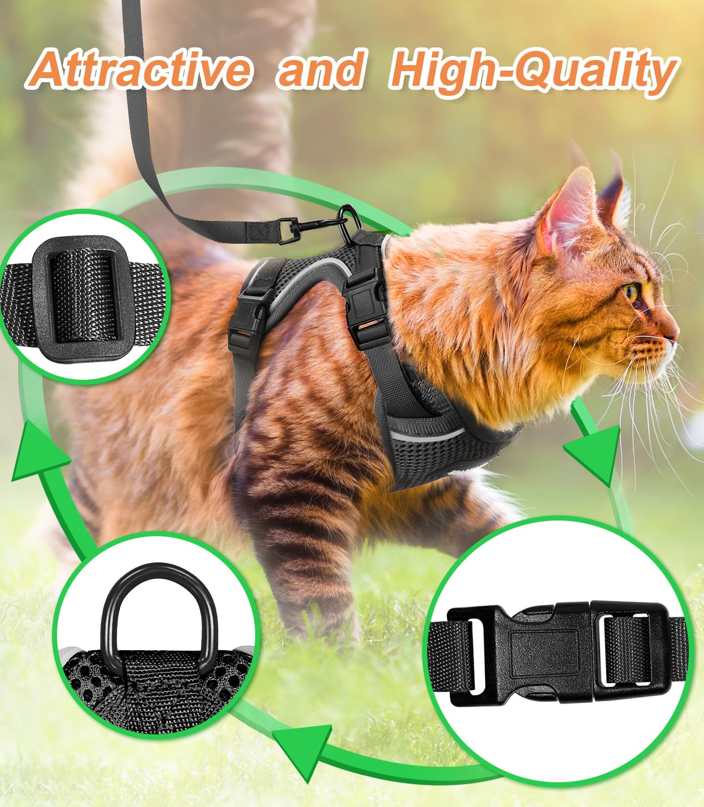 Halypet H200 Pro triple ion-exchange buckles; extra durability for active kittens.