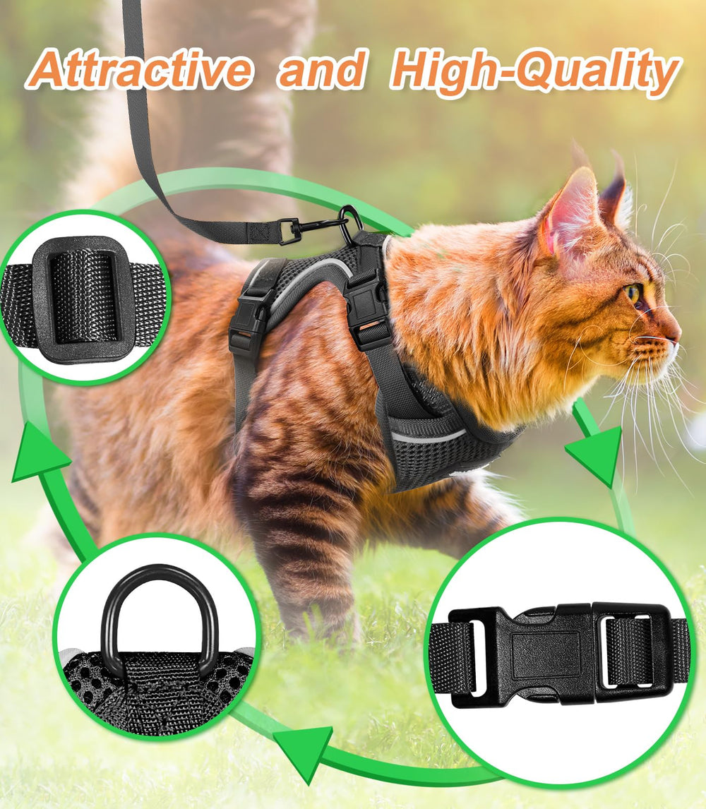 Halypet H200 Pro triple ion-exchange buckles; extra durability for active kittens.
