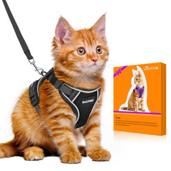 Halypet H600 Pro escape-proof harness on a cat for secure outdoor walks.