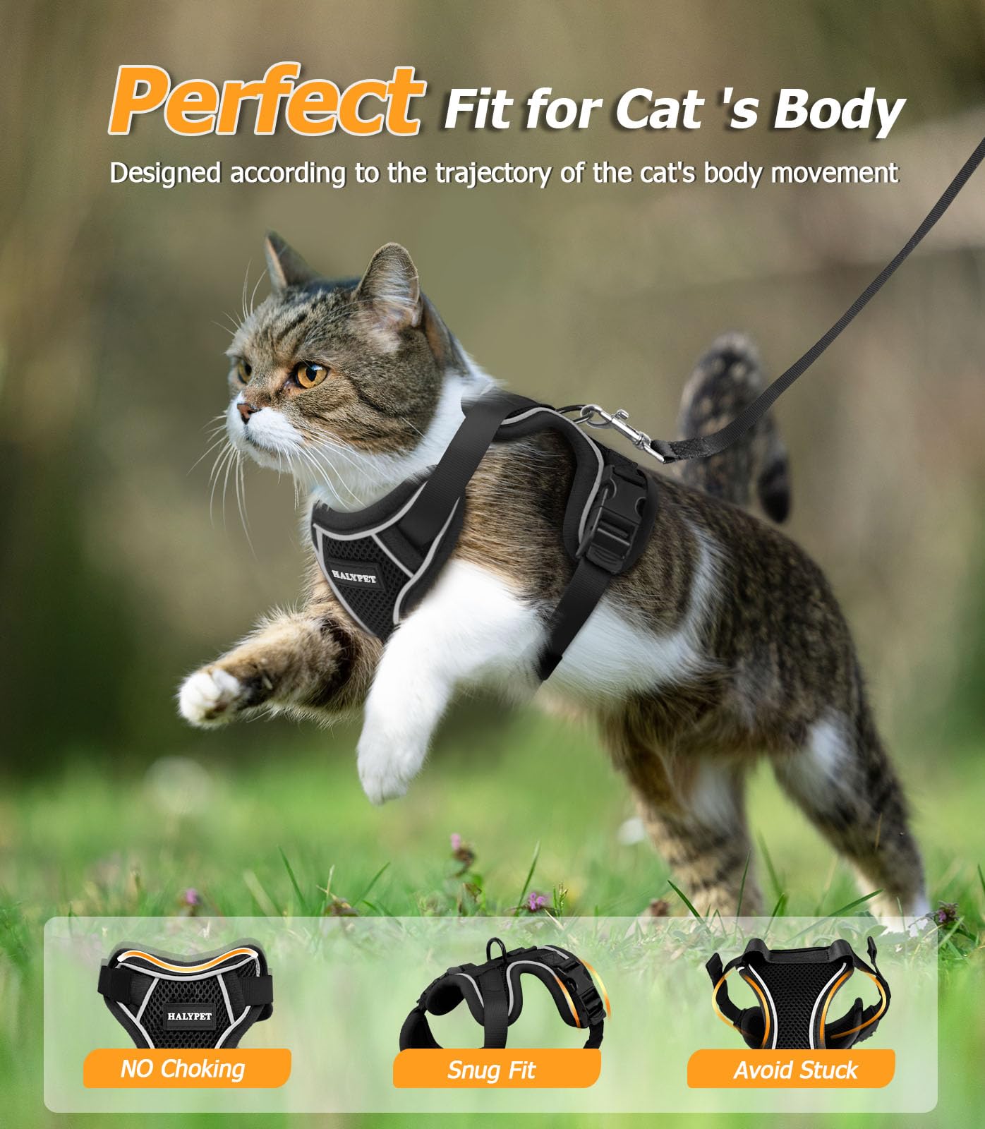 Premium A+ fabric leash stays cool and flexible.