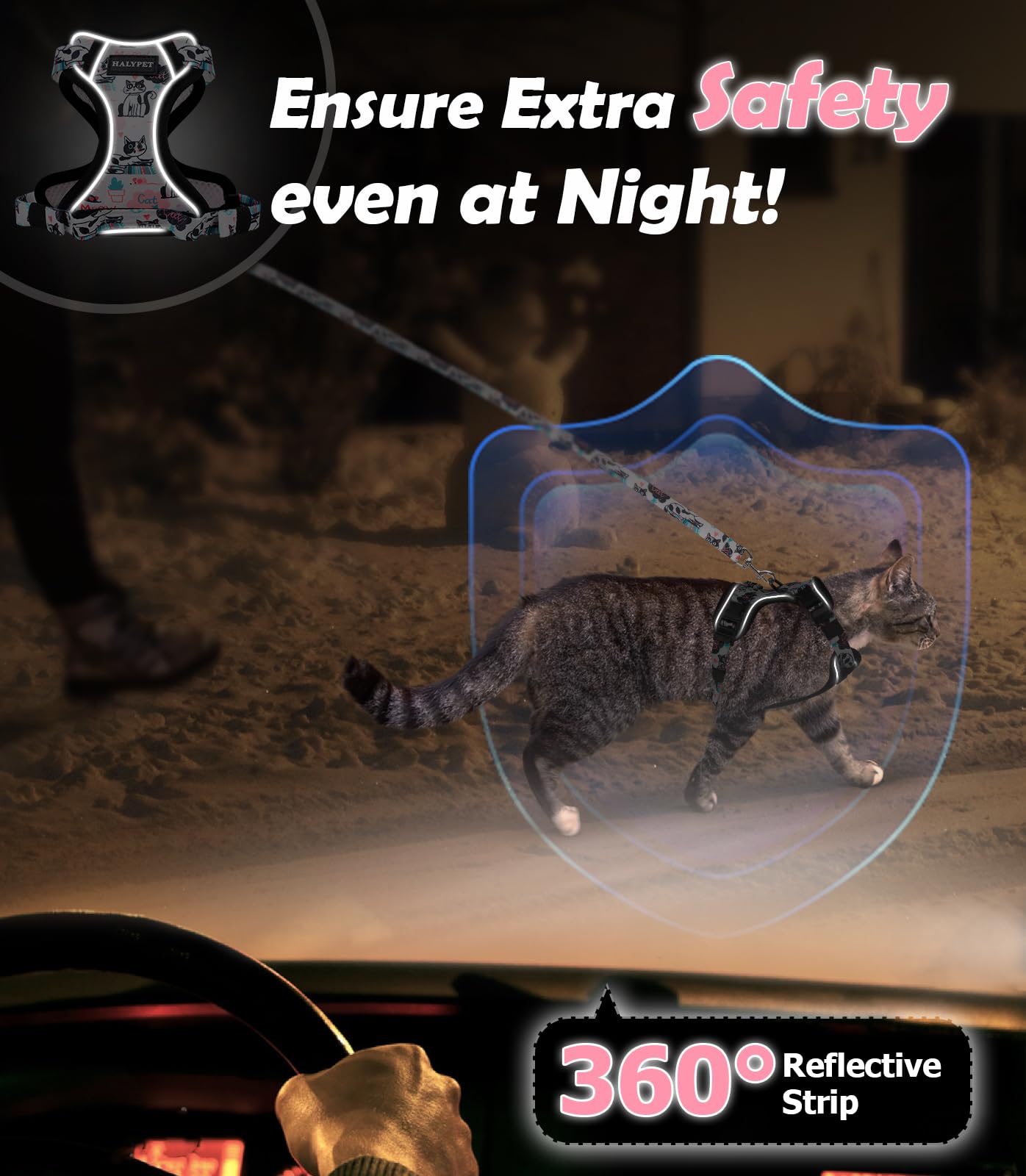 Halypet lightweight harness ideal for indoor-outdoor kitten training.