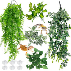 Hamiledyi large hanging leaves, 32 inches, enrich terrarium with natural hiding spots.