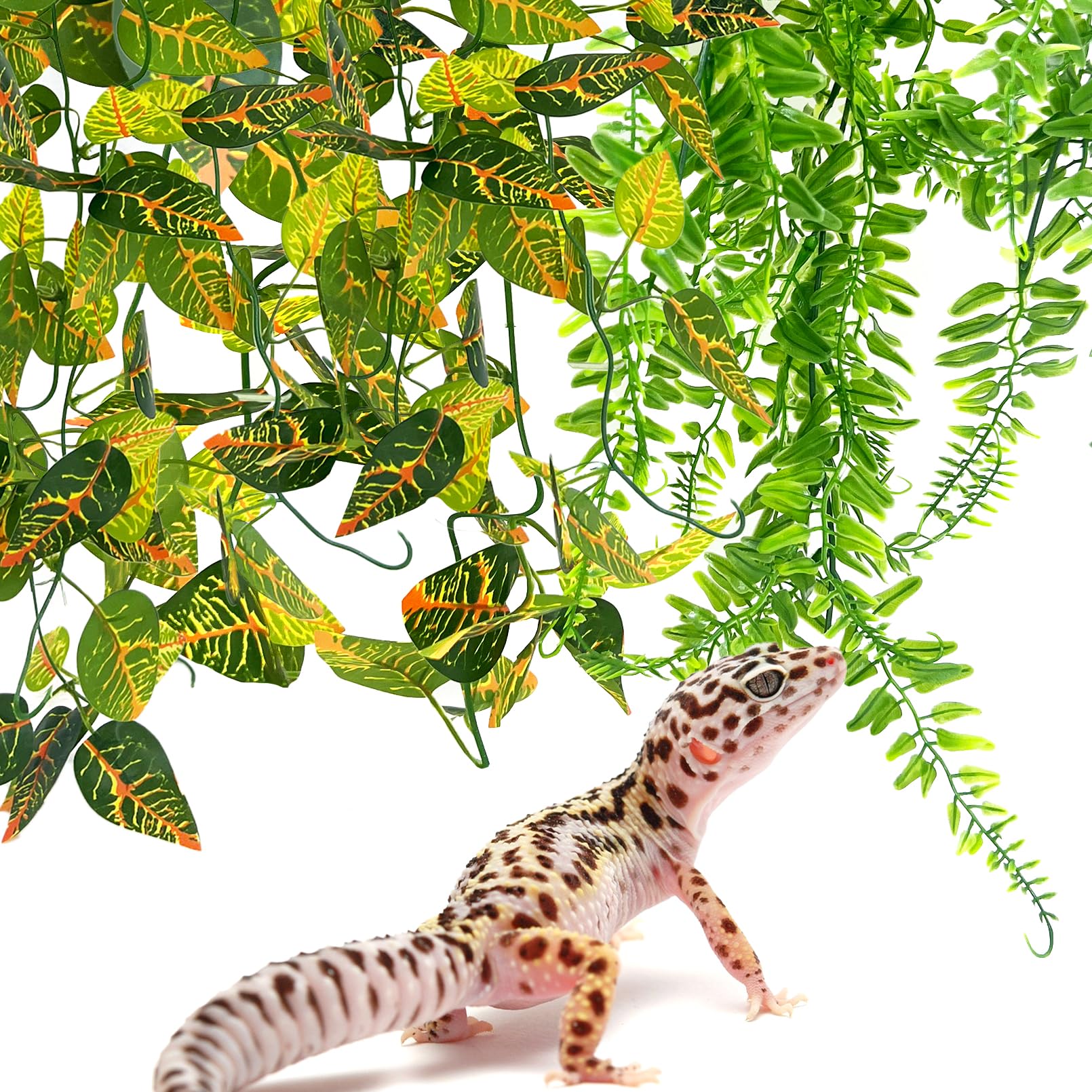 Hamiledyi 5pc reptile plants terrarium wall decor idea for natural look