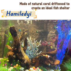 Hamiledyi driftwood-branch-03 supports moss trees and terrarium landscaping