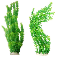 Hamiledyi aquarium plants with bright green leaves add vibrant color to your tank decor.