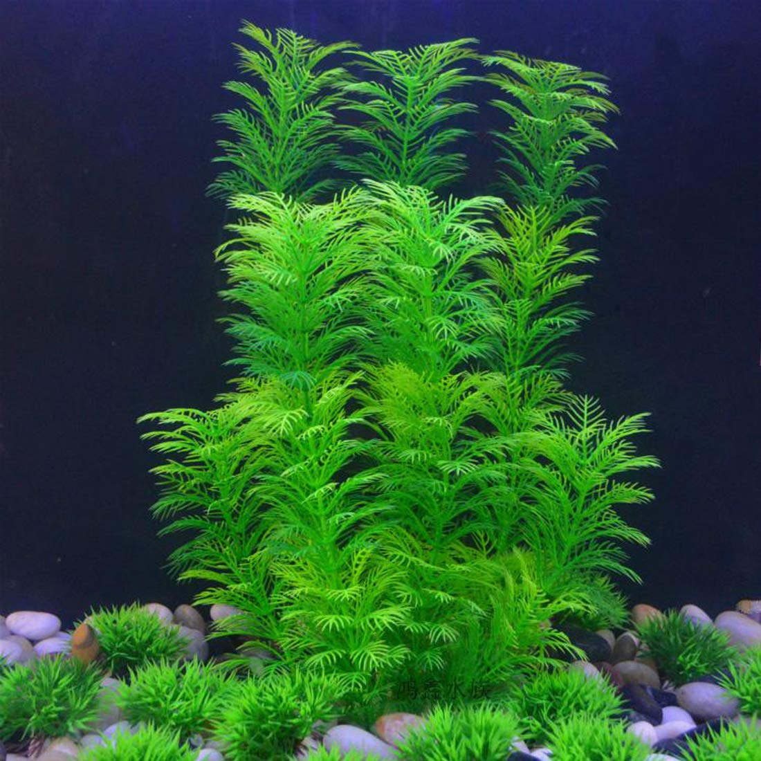 In-tank wide shot shows lifelike greenery enriching the underwater scene.