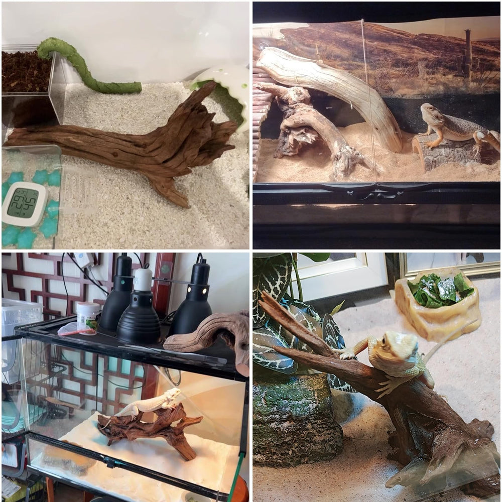 Hamiledyi aquarium terrarium decor blends with plants for realism.