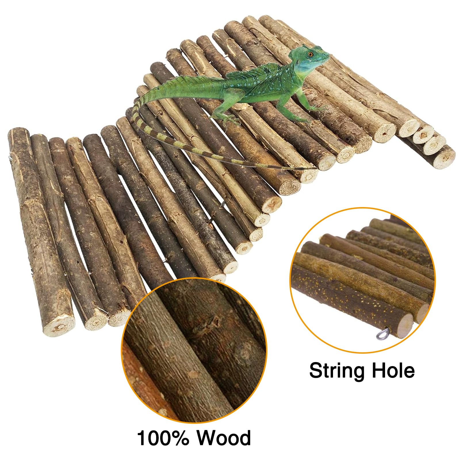 Hamiledyi arboreal reptile habitat decor in XL size for bearded dragons and geckos.