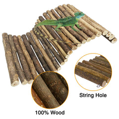 Hamiledyi arboreal reptile habitat decor in XL size for bearded dragons and geckos.