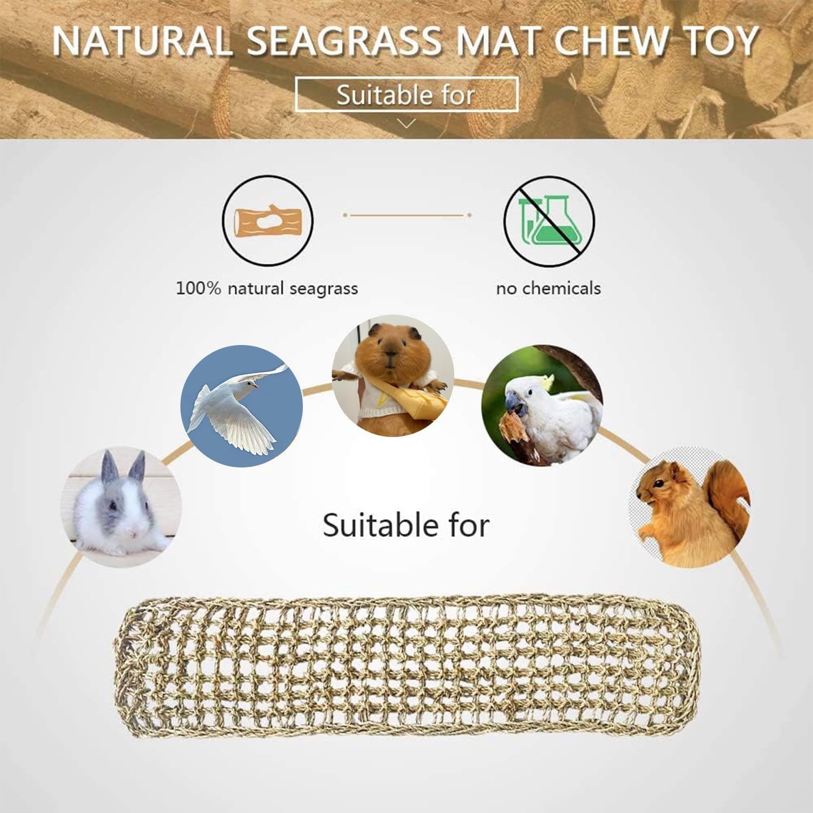 Hamiledyi seagrass setup supports safe climbing and chewing without harsh materials.