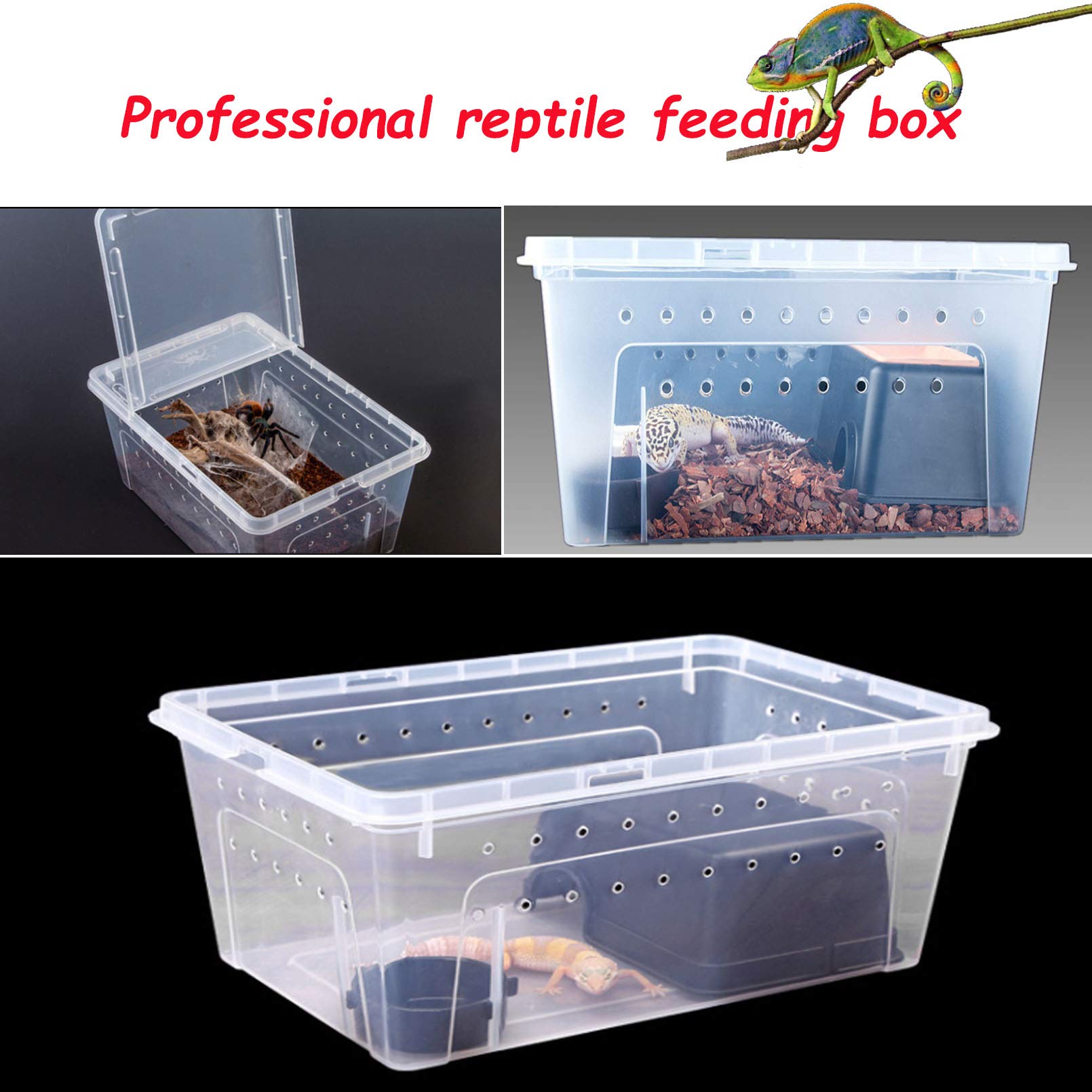 Hamiledyi built-in feeding bowl keeps feeding simple and secure.