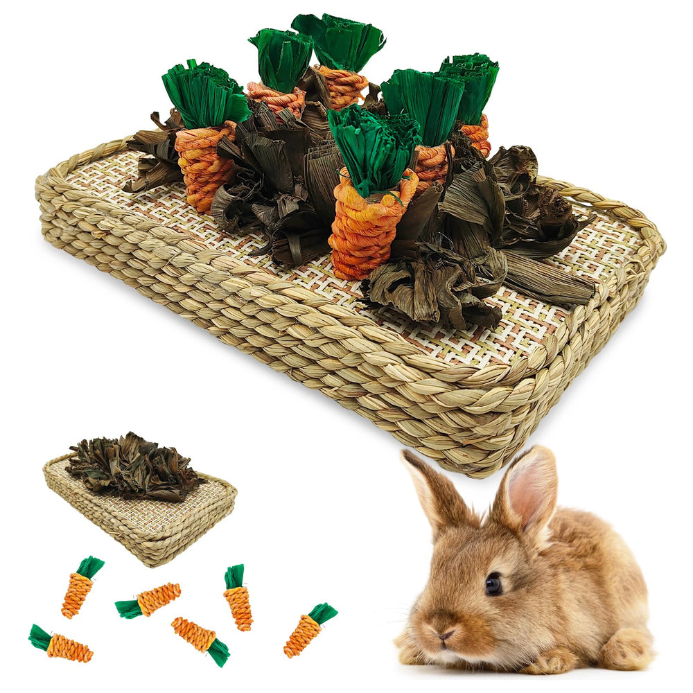 Hamiledyi bunny digging toy base with natural chew surface for enrichment.