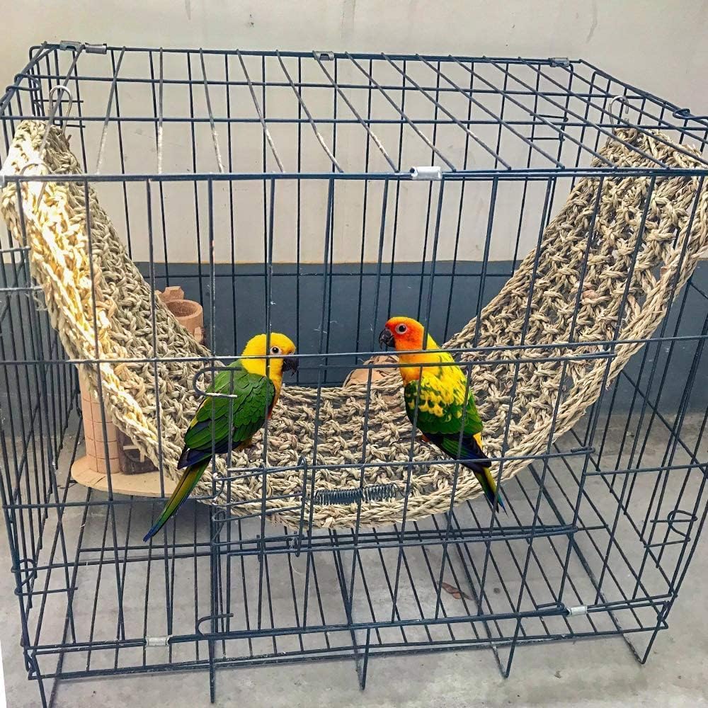 Hamiledyi cage hooks enable versatile hanging, promoting enrichment in home aviaries.