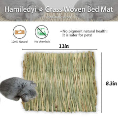Hamiledyi chew toy play mats encourage foraging and gentle teeth wear.
