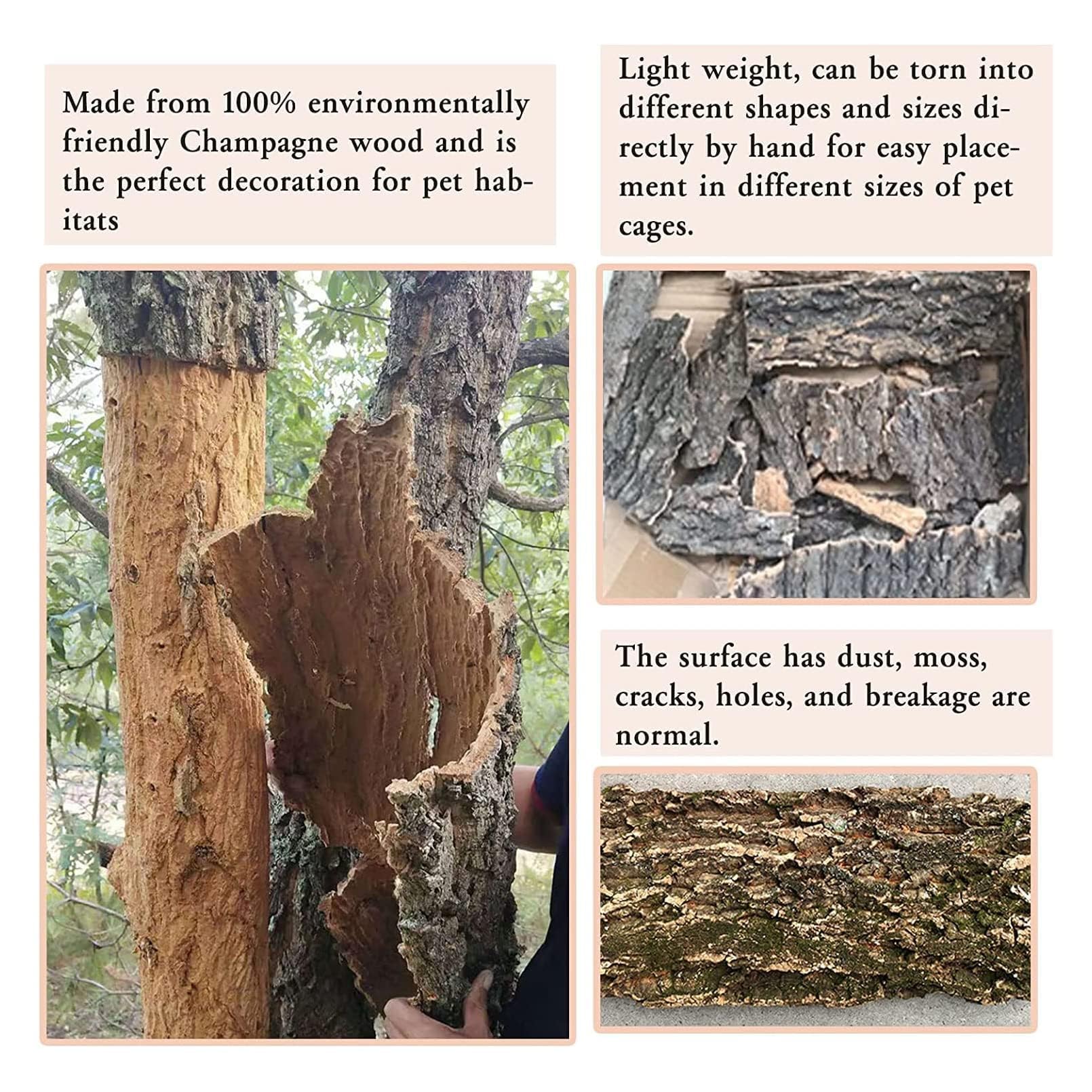 Hamiledyi cork bark habitat decor adds organic texture to enclosure.
