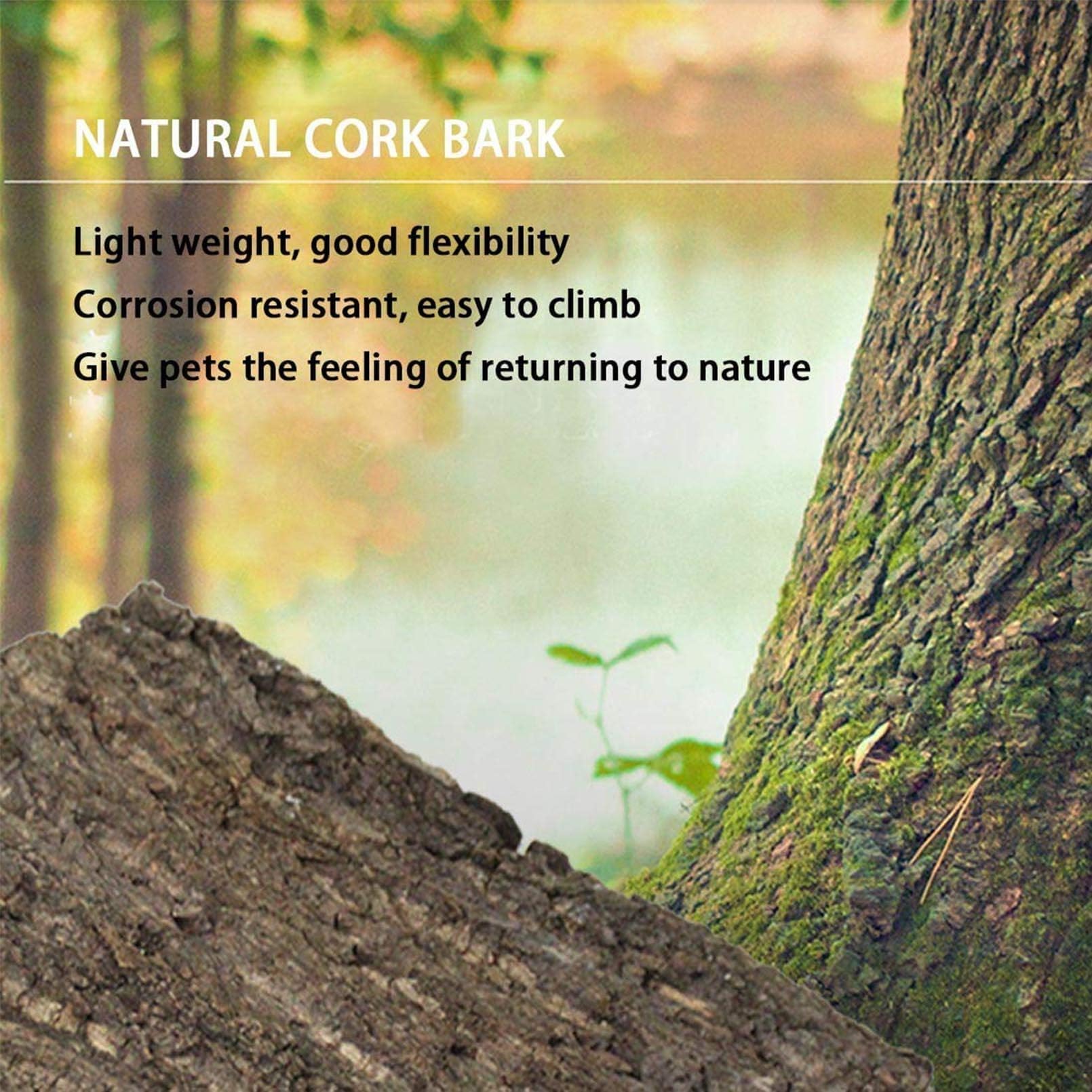 Hamiledyi cork bark surface for reptiles supports climbing activity.