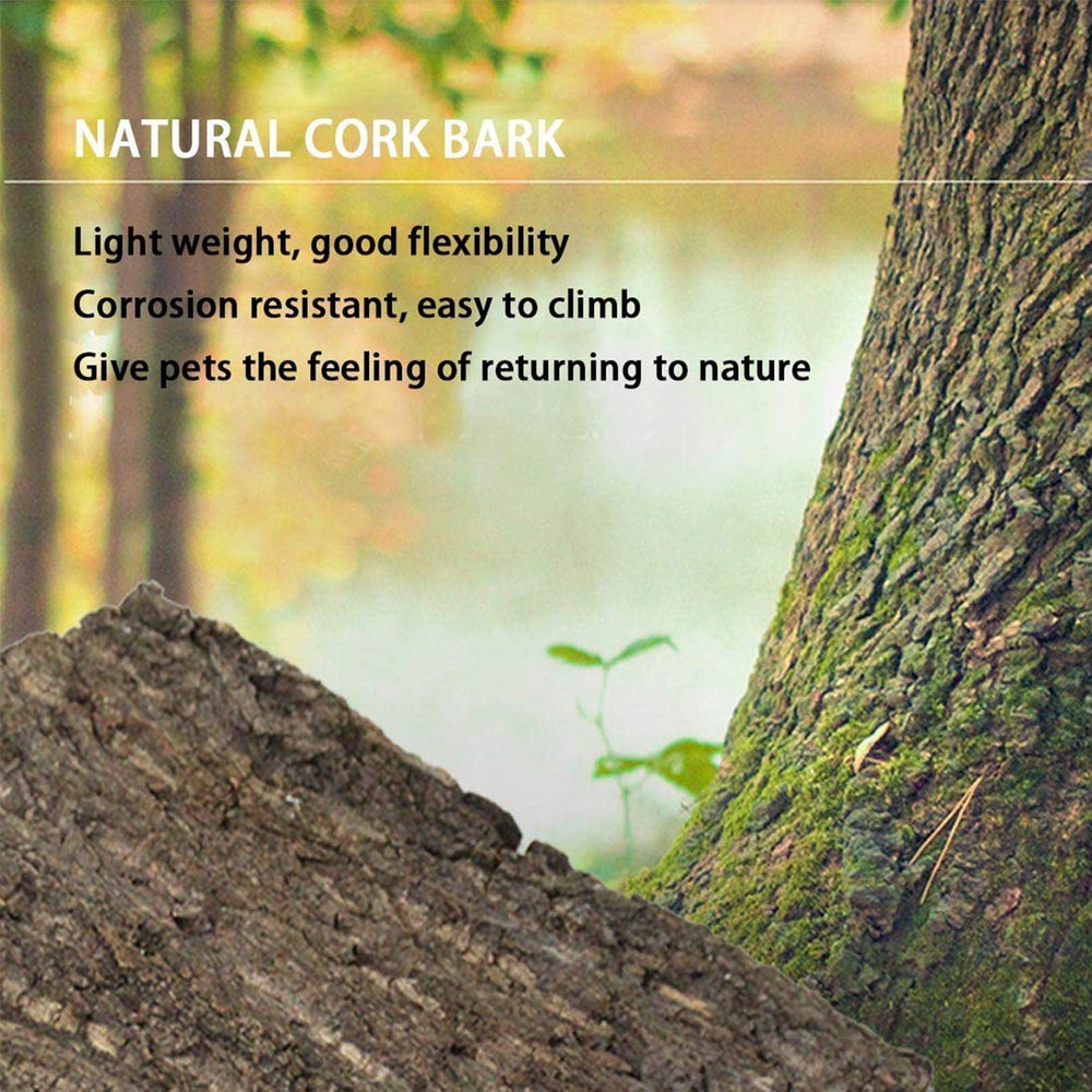 Hamiledyi cork bark surface for reptiles supports climbing activity.