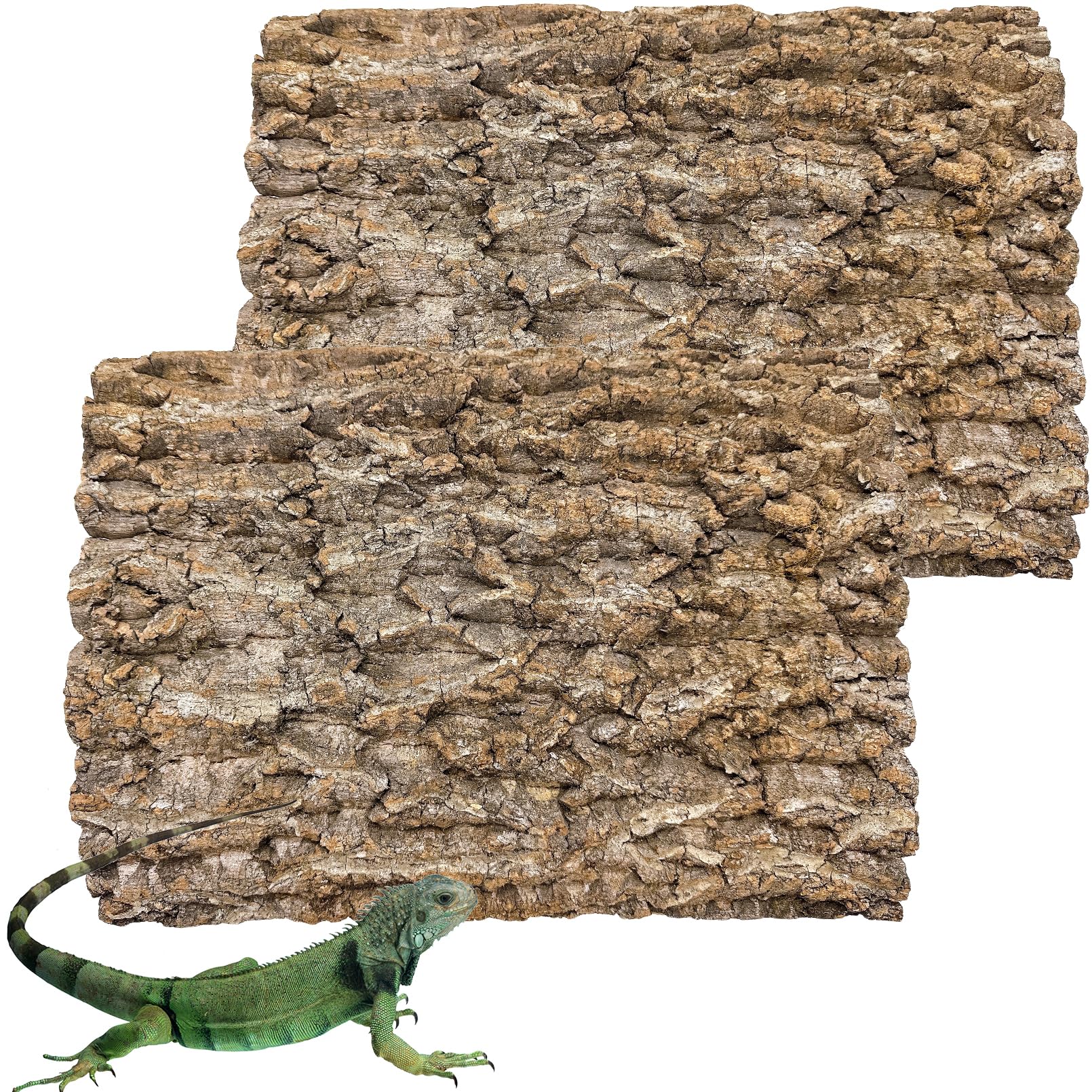 Hamiledyi cork terrarium background enhances natural habitat aesthetics.
