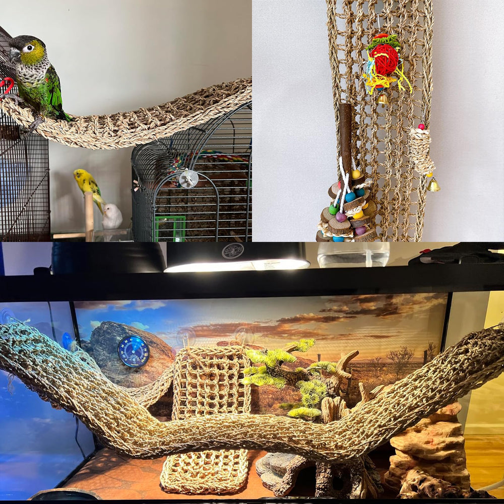 Hamiledyi foraging wall kit encourages birds to explore and peck for treats.